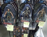 Big WoW ComicFest San Jose 2013 Photo 168Thumbnail